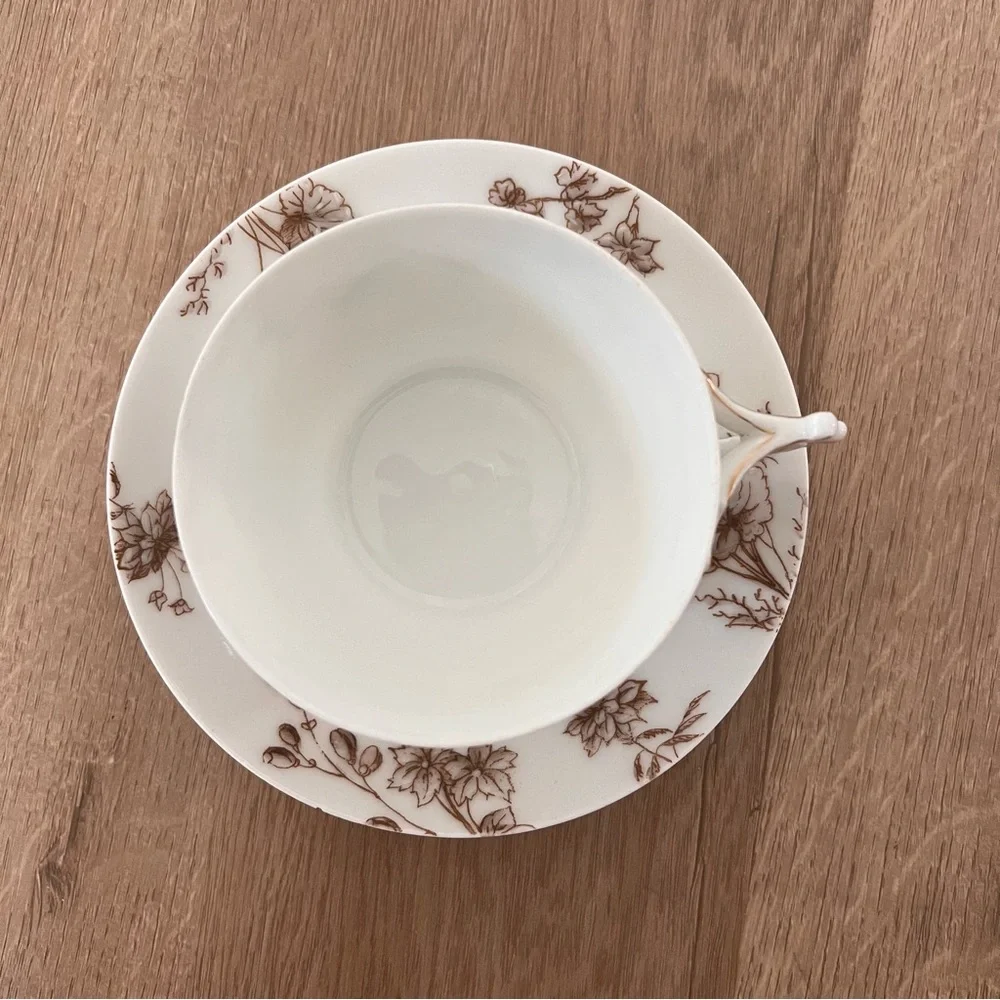Antique T&V France Limoges Hand Painted Tea Cup & Saucer Protruded Brown Flowers